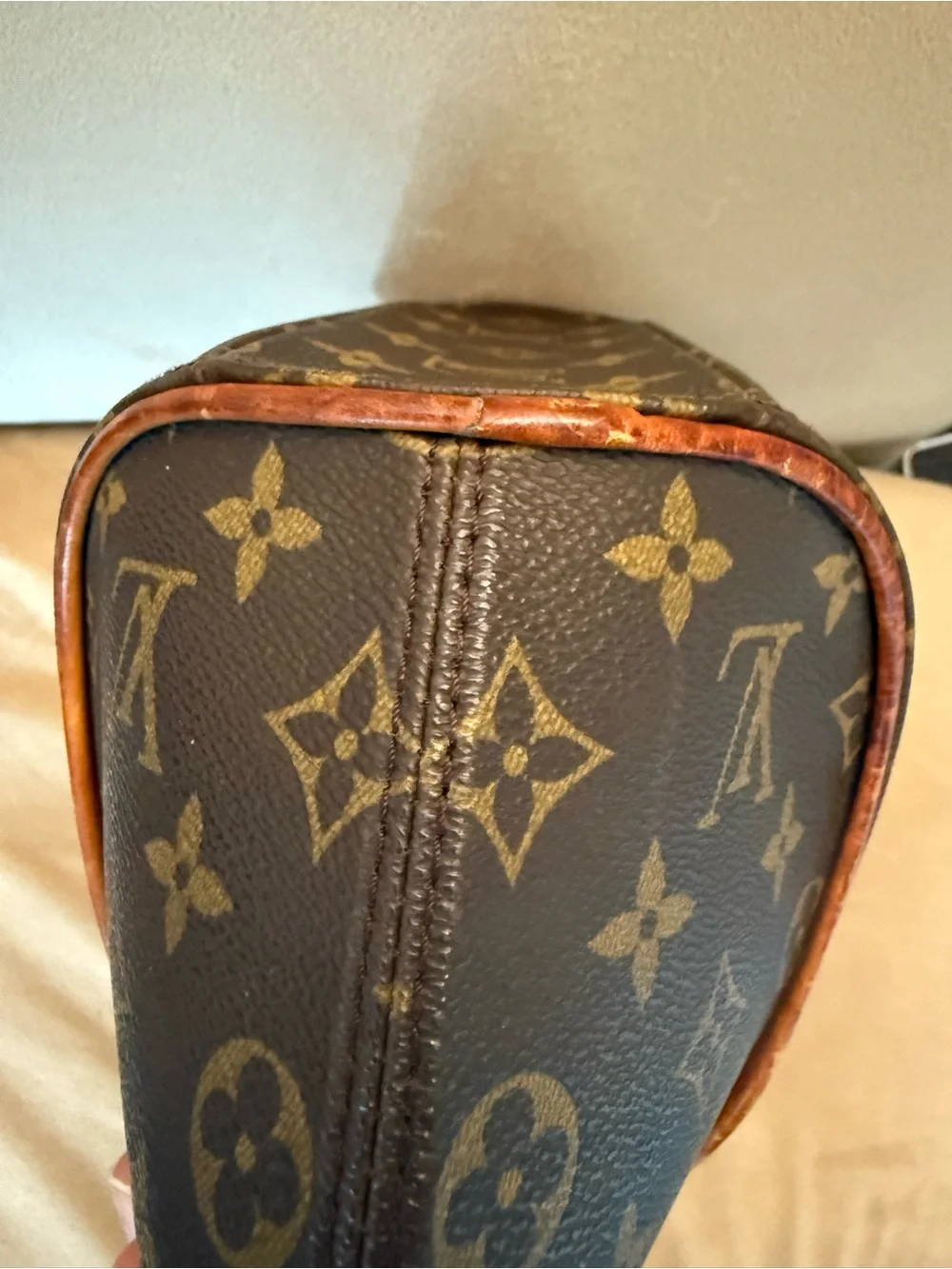 Louis Vuitton Monogram Ellipse PM